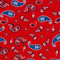 Red, White & Blue Paisley