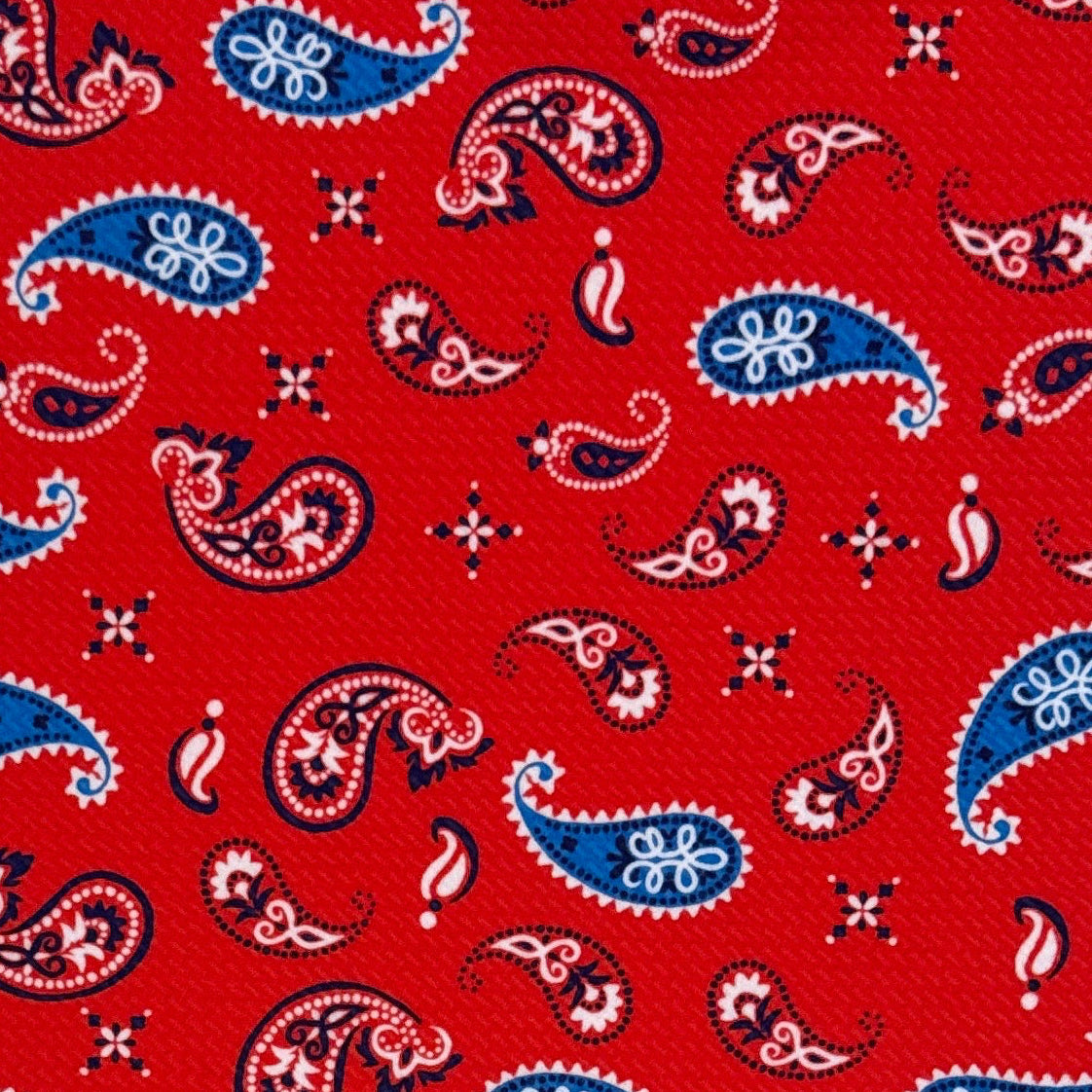 Red, White & Blue Paisley